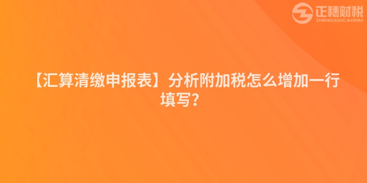 【匯算清繳申報(bào)表】分析附加稅怎么增加一行填寫？