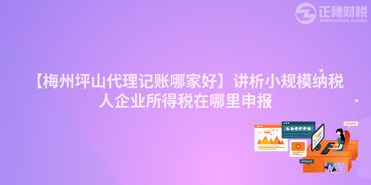 【梅州坪山代理記賬哪家好】講析小規(guī)模納稅人企業(yè)所得稅在哪里申報