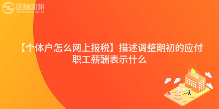 【個(gè)體戶怎么網(wǎng)上報(bào)稅】描述調(diào)整期初的應(yīng)付職工薪酬表示什么