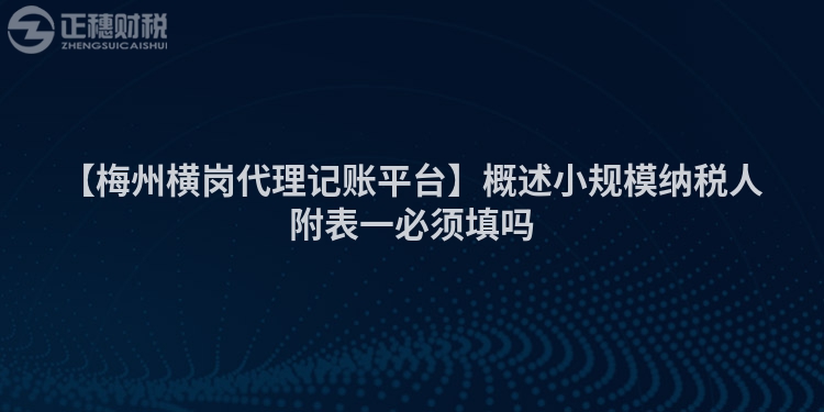 【梅州橫崗代理記賬平臺(tái)】概述小規(guī)模納稅人附表一必須填嗎