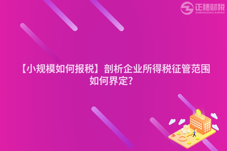 【小規(guī)模如何報稅】剖析企業(yè)所得稅征管范圍如何界定？