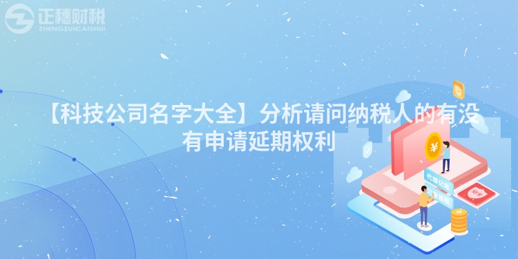 【科技公司名字大全】分析請(qǐng)問納稅人的有沒有申請(qǐng)延期權(quán)利