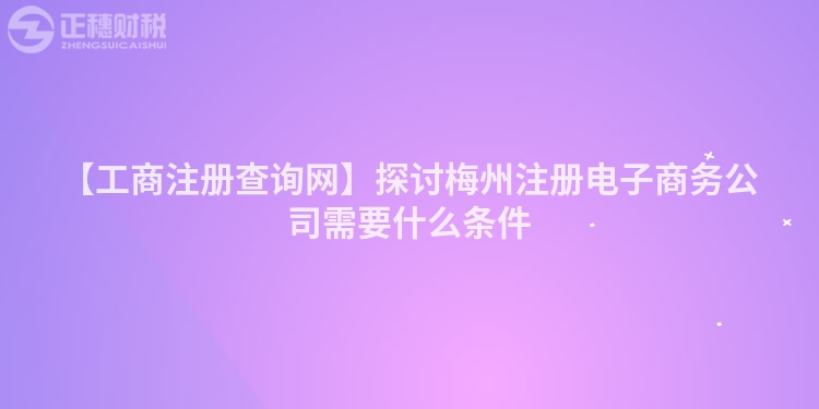 【工商注冊(cè)查詢網(wǎng)】探討梅州注冊(cè)電子商務(wù)公司需要什么條件