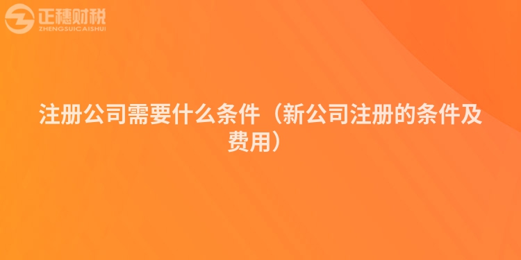 注冊公司需要什么條件（新公司注冊的條件及費用）