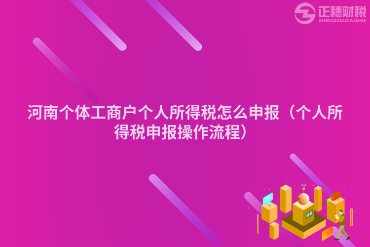 河南個(gè)體工商戶個(gè)人所得稅怎么申報(bào)（個(gè)人所得稅申報(bào)操作流程）