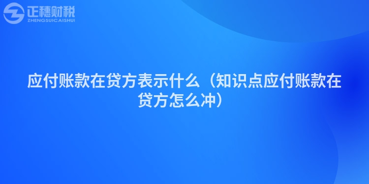 應(yīng)付賬款在貸方表示什么（知識(shí)點(diǎn)應(yīng)付賬款在貸方怎么沖）