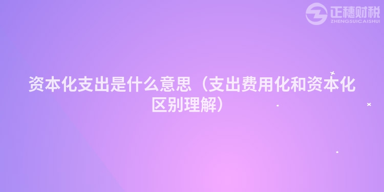 資本化支出是什么意思（支出費(fèi)用化和資本化區(qū)別理解）