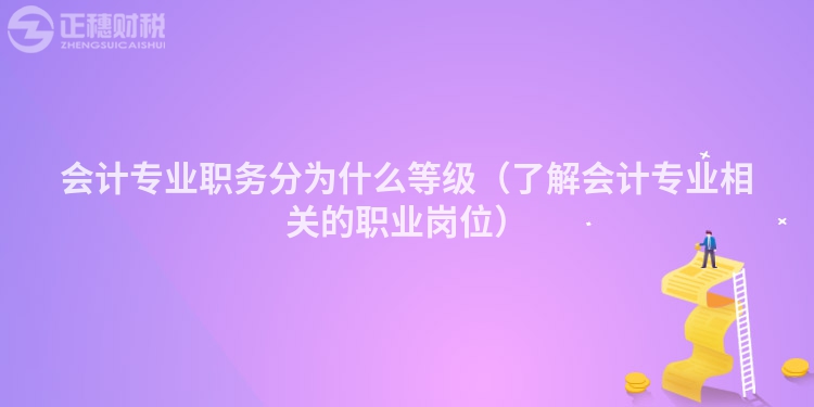 會計專業(yè)職務分為什么等級（了解會計專業(yè)相關的職業(yè)崗位）