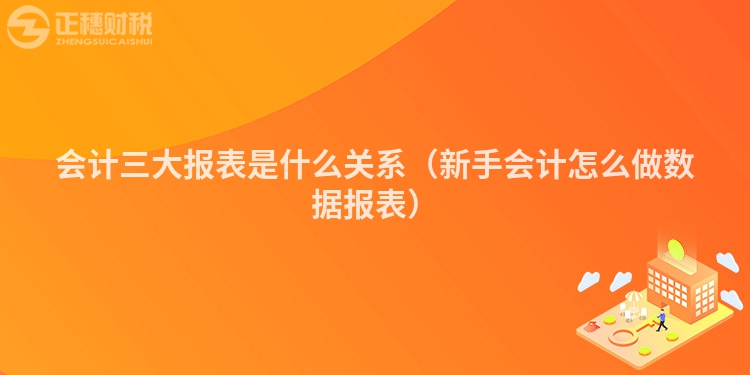 會計三大報表是什么關(guān)系（新手會計怎么做數(shù)據(jù)報表）