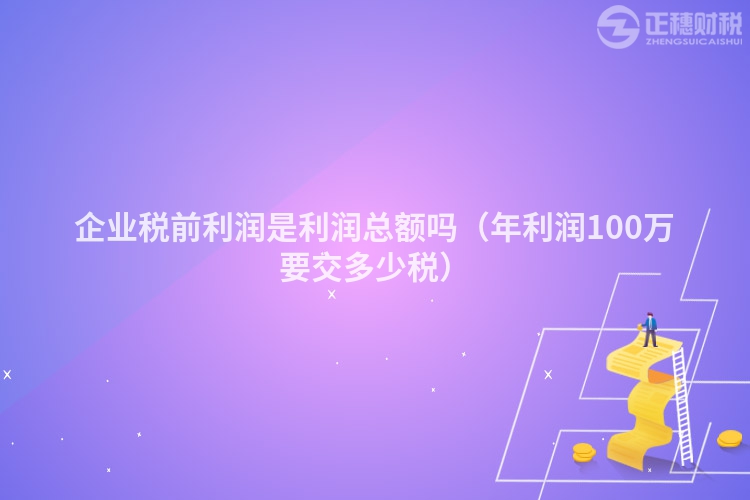 企業(yè)稅前利潤是利潤總額嗎（年利潤100萬要交多少稅）