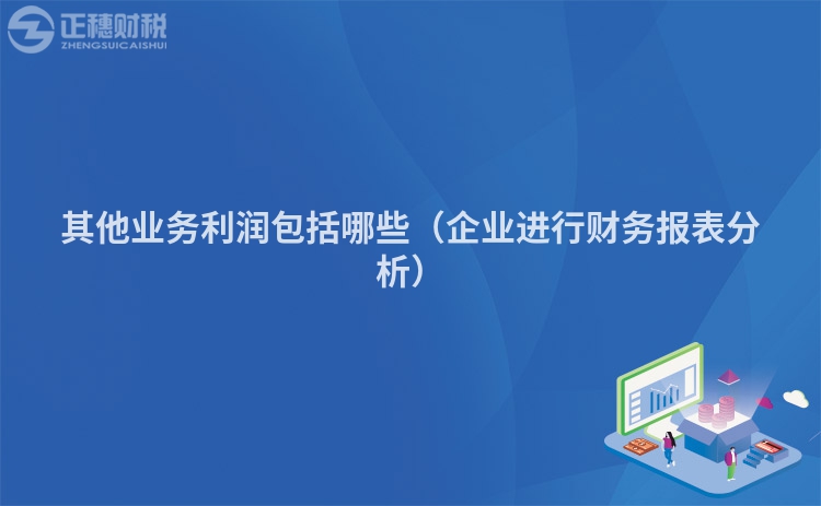 其他業(yè)務利潤包括哪些（企業(yè)進行財務報表分析）