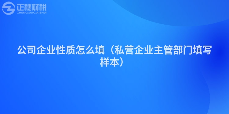 公司企業(yè)性質(zhì)怎么填（私營(yíng)企業(yè)主管部門填寫(xiě)樣本）