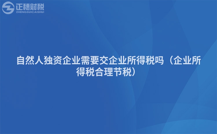 自然人獨(dú)資企業(yè)需要交企業(yè)所得稅嗎（企業(yè)所得稅合理節(jié)稅）