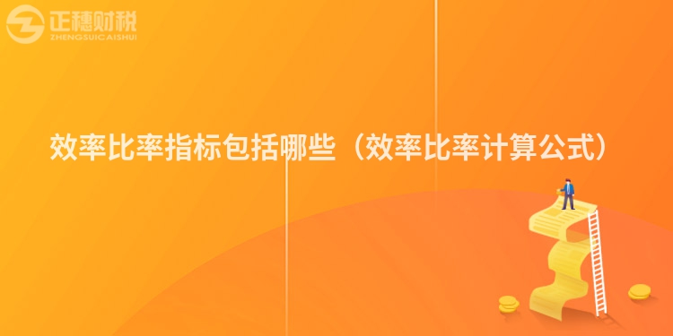 效率比率指標(biāo)包括哪些（效率比率計算公式）