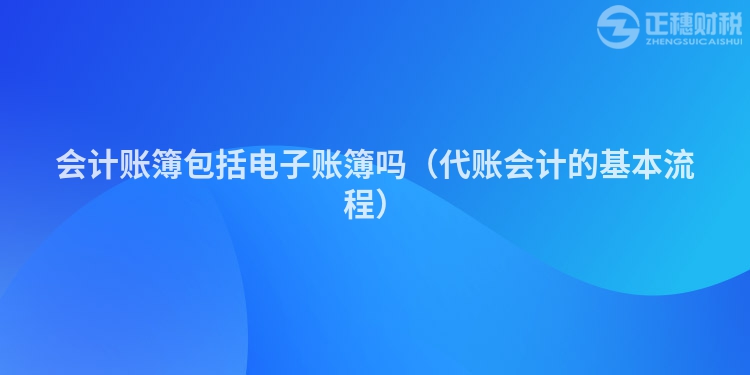 會計賬簿包括電子賬簿嗎（代賬會計的基本流程）