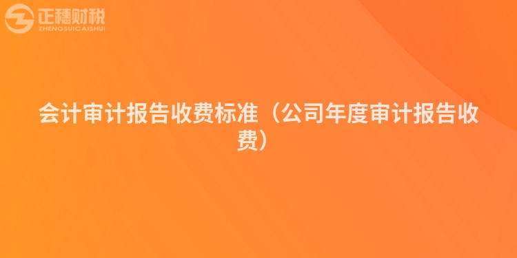 會(huì)計(jì)審計(jì)報(bào)告收費(fèi)標(biāo)準(zhǔn)（公司年度審計(jì)報(bào)告收費(fèi)）