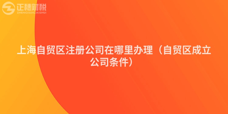 上海自貿(mào)區(qū)注冊公司在哪里辦理（自貿(mào)區(qū)成立公司條件）